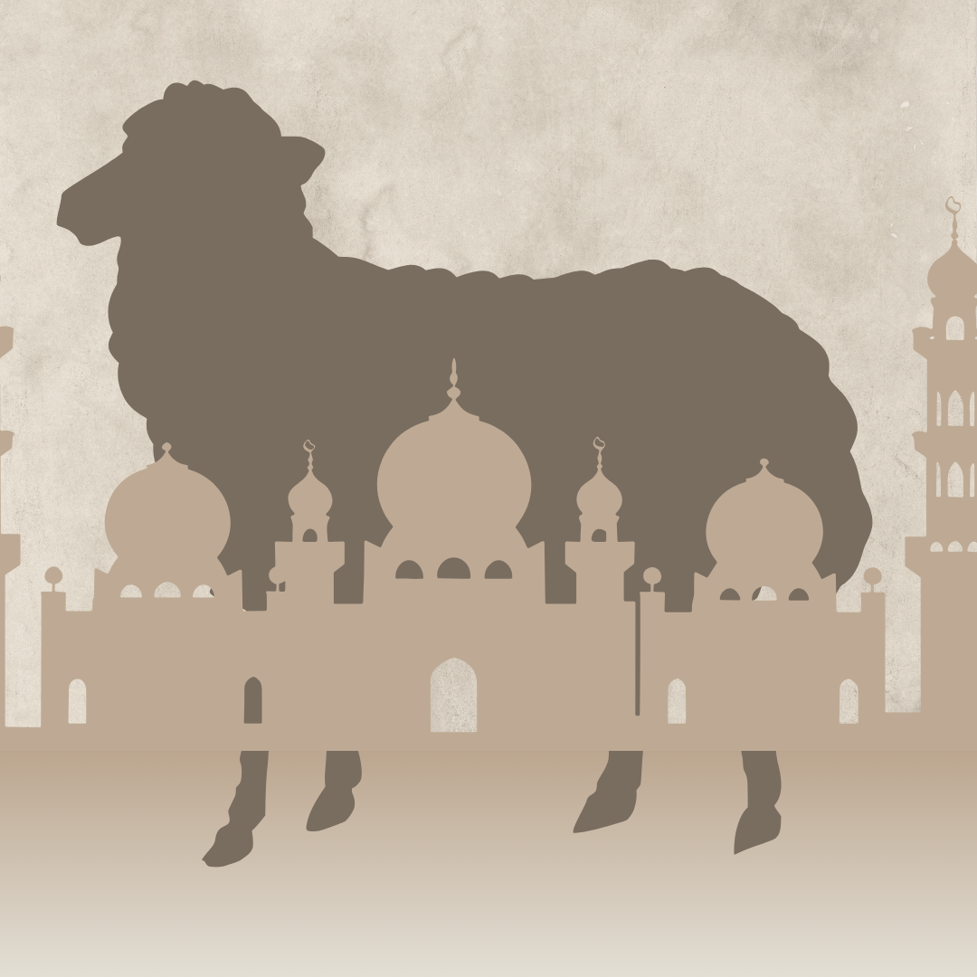 اضاحي العيد